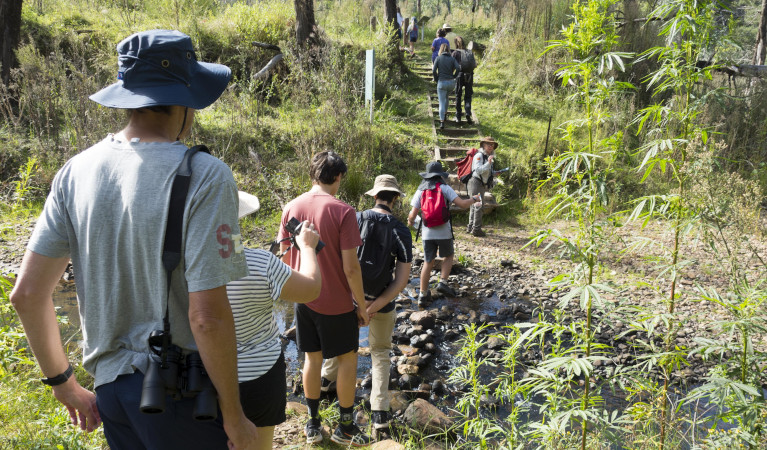 Walk on the wild side tour Warrumbungles. Photo: Leah Pippos &copy; DPE