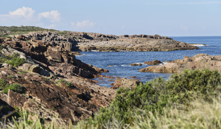 Rocky shoreline of Boat Harbour in Tomaree National park. Photo: Adam Hollingsworth