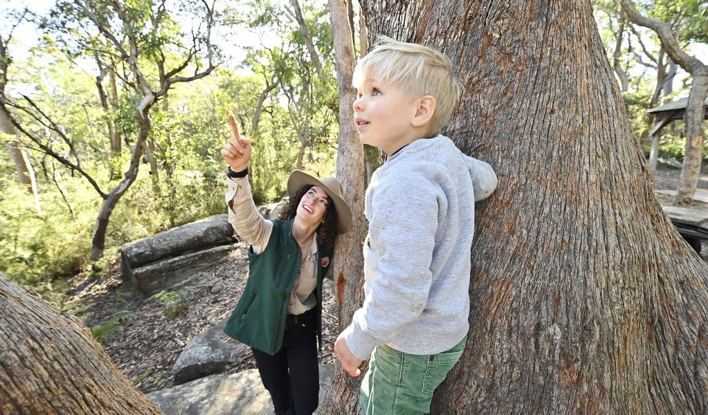A child looks up as a NPWS Discovery ranger points out something in the tree tops. Credit: Adam Hollingworth/DCCEEW