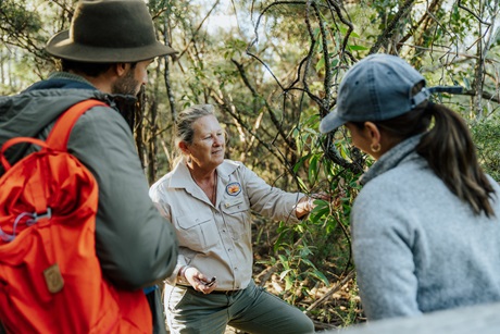 Visitors enjoying a tour with an NPWS ranger on Grand Cliff Top Walk. Credit: Remy Brand &copy; Remy Brand/DCCEEW