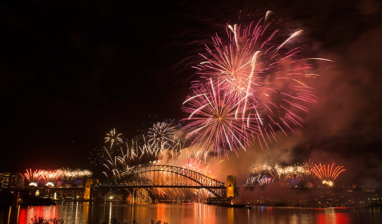 View of the New Year's Eve fireworks from Goat Island, Sydney Harbour National Park. Photo: Jennifer Mitchell