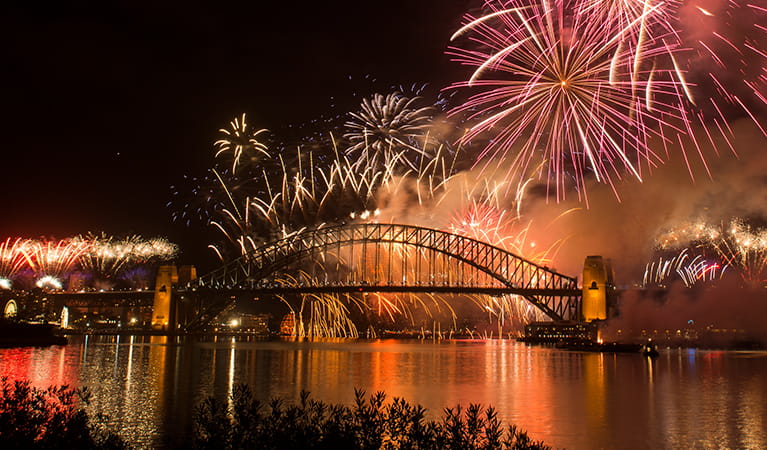 View of the fireworks display at its height, Goat Island, Sydney Harbour National Park. Photo: Jennifer Mitchell &copy; DPE