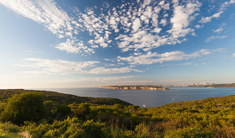Harbour view from North Head on a sunny day, looking over the South Head and the city in the distance, Sydney Harbour National Park. Photo: David Finnegan/DPIE