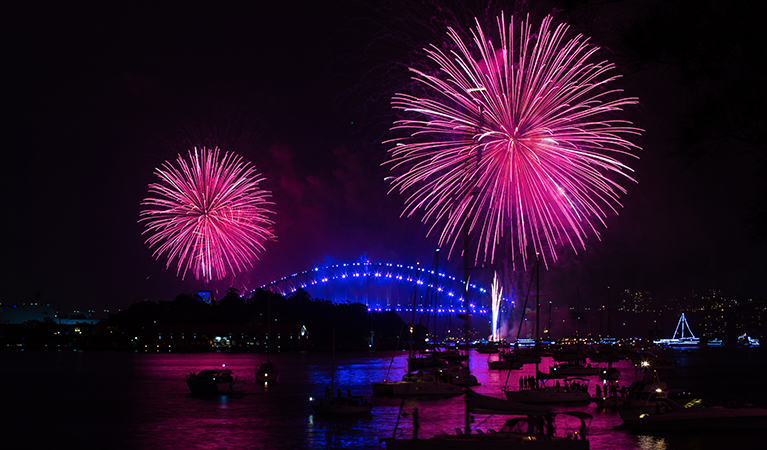 New Year's Eve fireworks over Sydney Harbour, Clark Island, Sydney Harbour National Park. Photo: Edwina Pickles  &copy; DPE