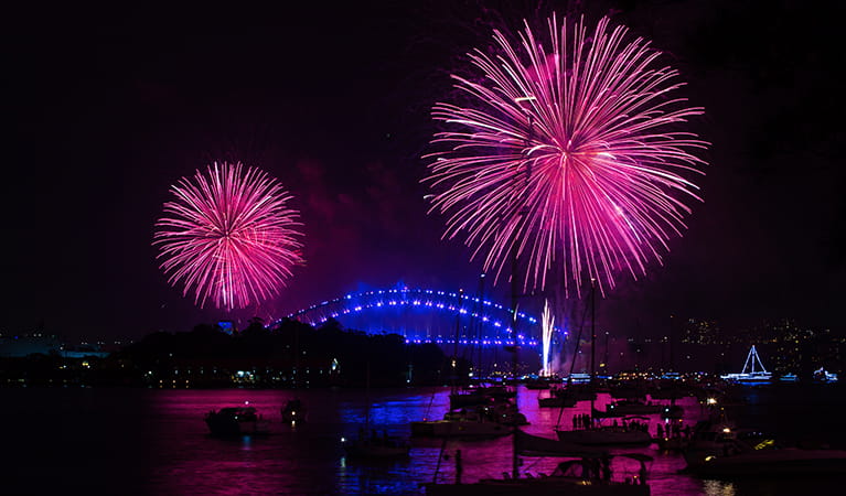 New Year's Eve fireworks over Sydney Harbour, view from Clark Island, Sydney Harbour National Park. Photo: Edwina Pickles/DPIE