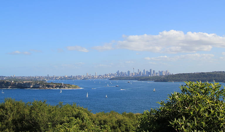 View of Sydney Harbour from North Head, Sydney Harbour National Park. Photo: Natasha Webb &copy; DPE