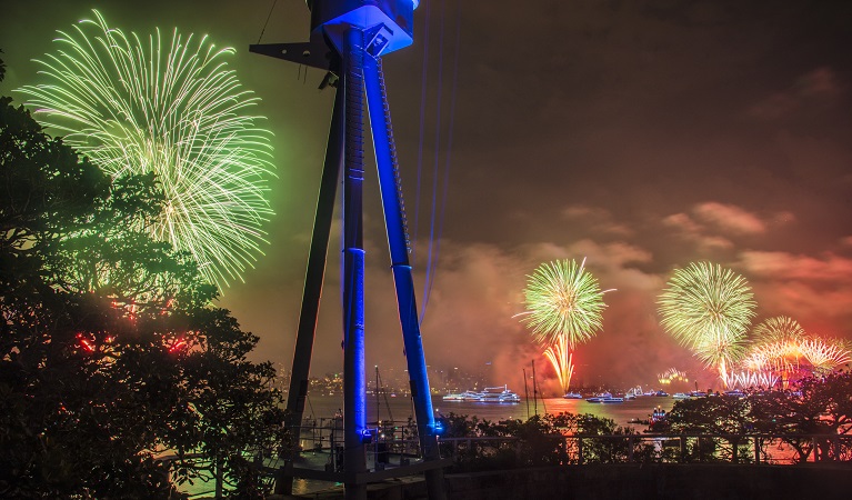 View of the NYE fireworks from the Mast Precinct, Bradleys Head, Sydney Harbour National Park. Photo: Kelly Hulme © DPE