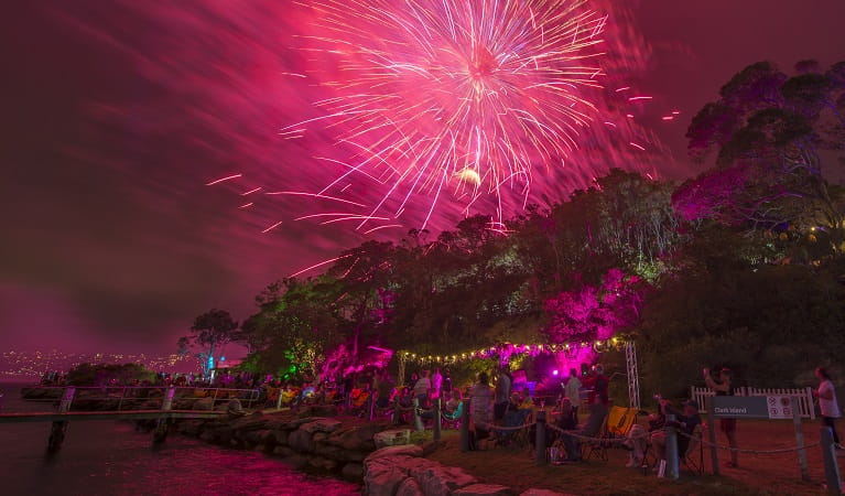 The NYE fireworks over Clark Island, Sydney Harbour National Park. Photo: John Spencer &copy; DPE