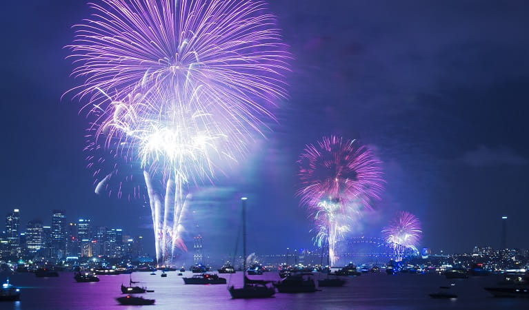 The view of the NYE fireworks from Shark Island, Sydney Harbour National Park. Photo: John Spencer &copy; DPE