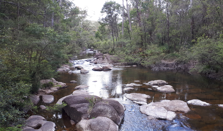 River in Gibraltar Range National Park. Photo: L Pippos