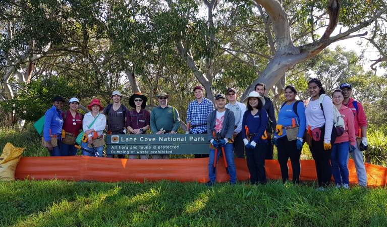 Group of volunteers in Lane Cove National Park. Photo: S Leslie/OEH