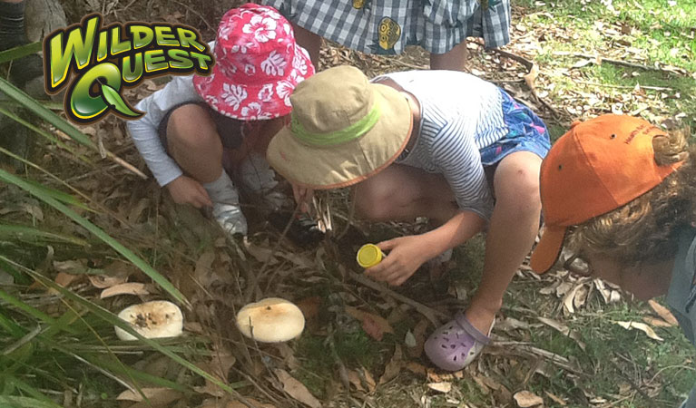 Children on a WilderQuest adventure. Photo: K Robinson/OEH