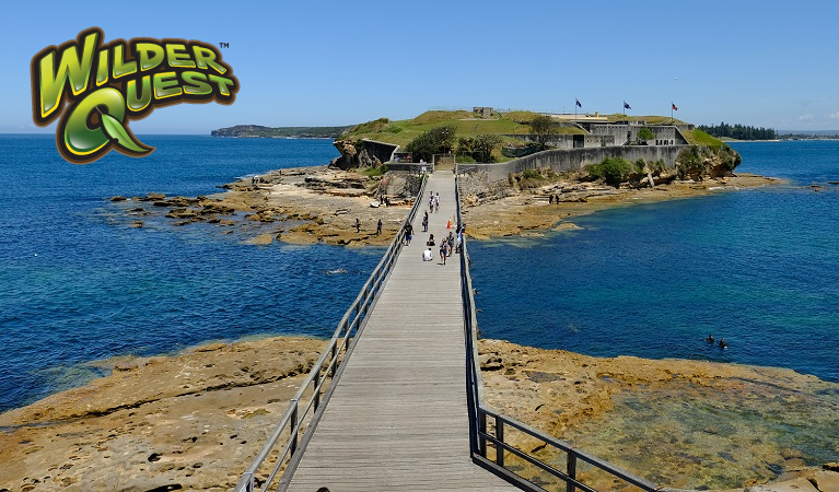 The bridge to Bare Island and Bare Island fort, Kamay Botany Bay National Park. Photo: Elinor Sheargold/OEH