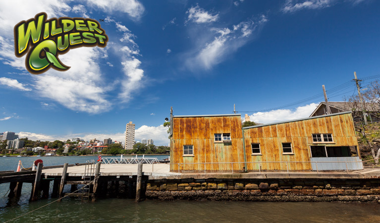Goat Island, Sydney Harbour National Park. Photo: David Finnegan