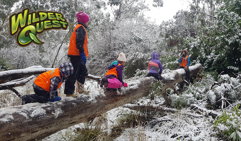 WilderQuest kids climbing a log during a cave tour. Photo: Allison Budworth/OEH