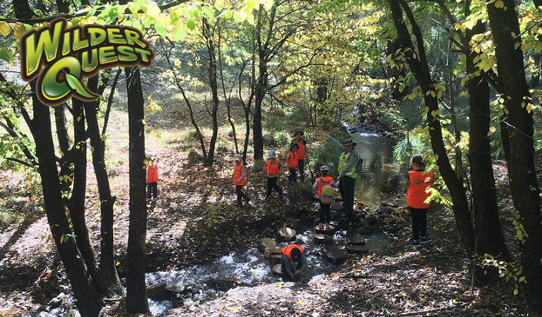 Children on a WilderQuest walk in the bush at Yarrangobilly Caves. Photo: Nicola Beckett/DPIE