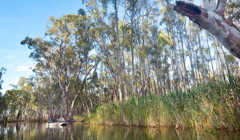 Men fishing from a boat at Gulpa Creek. Photo: David Finnegan