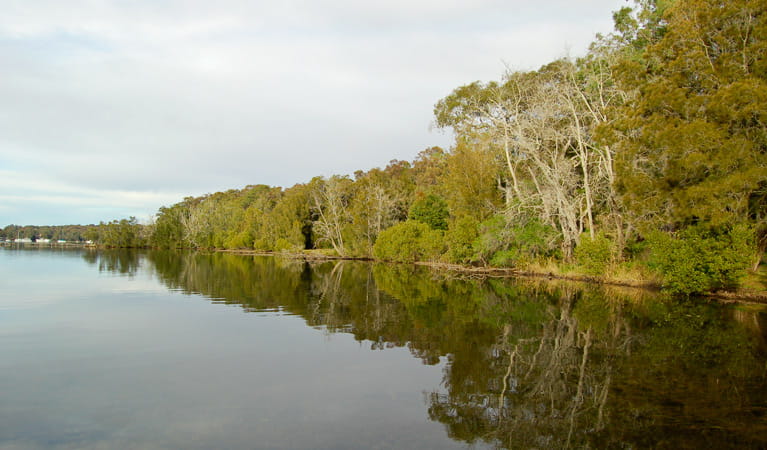 Morisset Lake, Lake Macquarie State Conservation Area. Photo: Susan Davies