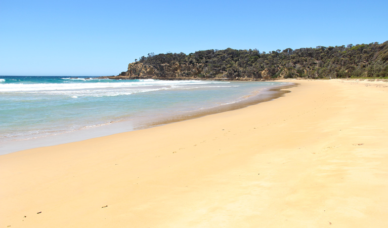 Nelson Beach, Mimosa Rocks National Park. photo: John Yurasek