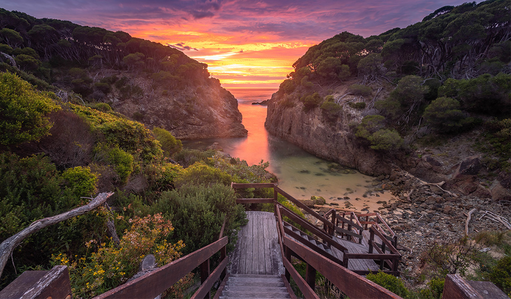 Walkway to a small beach with purple and orange sunrise visible between the headlands. Credit: David Rogers/DPE