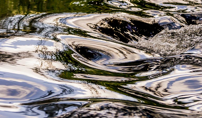 River swirls. Photo:Rosie Nicolai Copyright:NSW Government