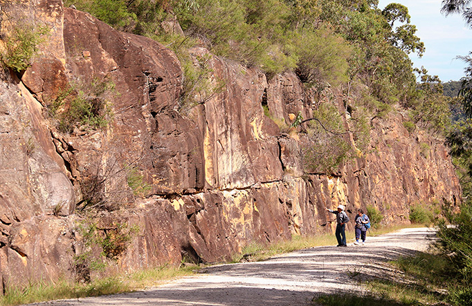 Devines Hill, Dharug National Park. Photo: John Yurasek