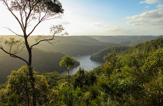  Berowra Valley National Park. Photo: John Yurasek