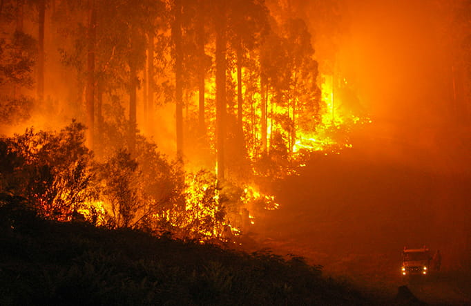 Fire and the Australian bush. Photo: OEH