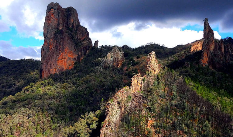 The breadknife rock formations in Warrumbungle National Park. Photo: Chinmoy Mukerjee