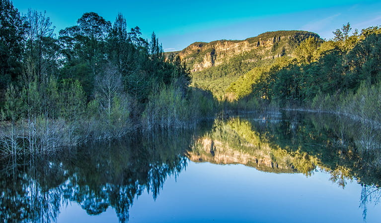 Reflections on the Nattai River, Nattai National Park. Photo: John Spencer &copy; DPIE