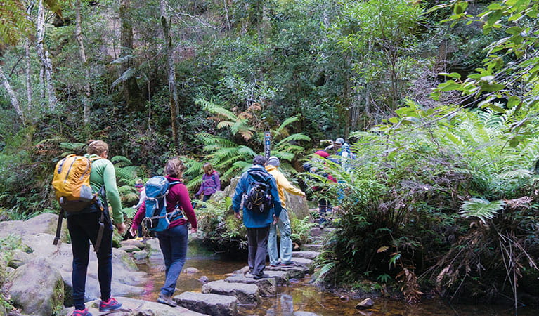 A group of hikers on Rodriguez Pass walking track, Grose Valley, Blue Mountains National Park. Photo: Simone Cottrell &copy; DPIE