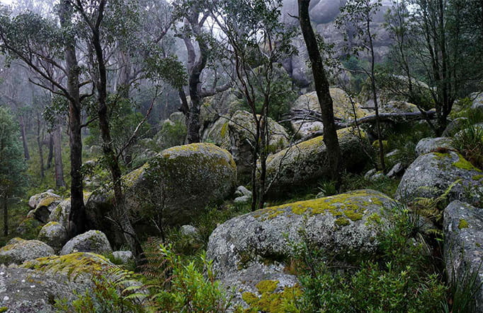 Boulders along Cathedral Rock track in Cathedral Rock National Park. Photo credit: A Ingarfield &copy; DPIE