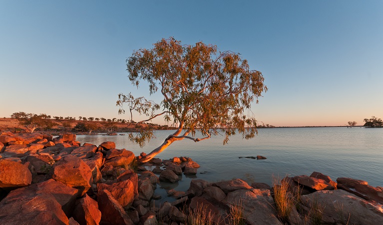 Peery Lake at dawn. Photo: Neal Foster 