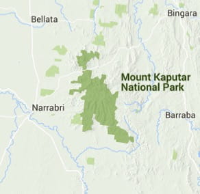 Mount Kaputar NP