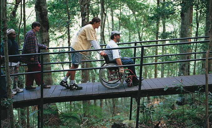 Wheelchair access for visitors along Minnamurra Rainforest boardwalk, Budderoo National Park. Photo: Joel Winter/OEH