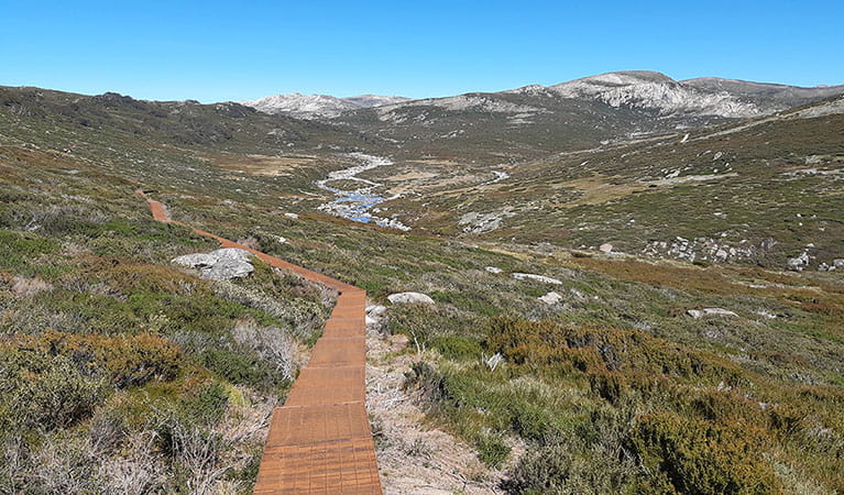 A path winds through river valley, part of the Guthega to Charlotte Pass walk in Kosciuszko National Park. Photo credit: Aleksandr Cahill &copy; DPIE