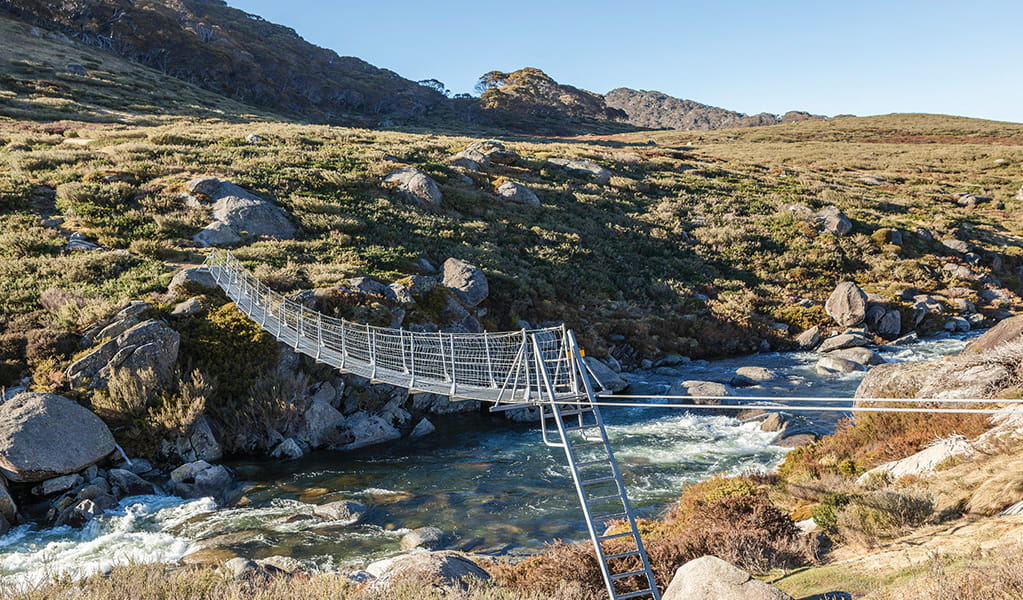 Bridge suspended over stream in alpine setting. Photo credit: Murray Vanderveer &copy; OEH