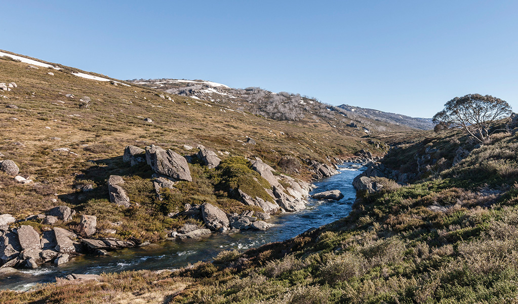 Alpine stream under clear blue sky in Kosciuszko National Park.  Photo credit: Murray Vanderveer &copy; OEH