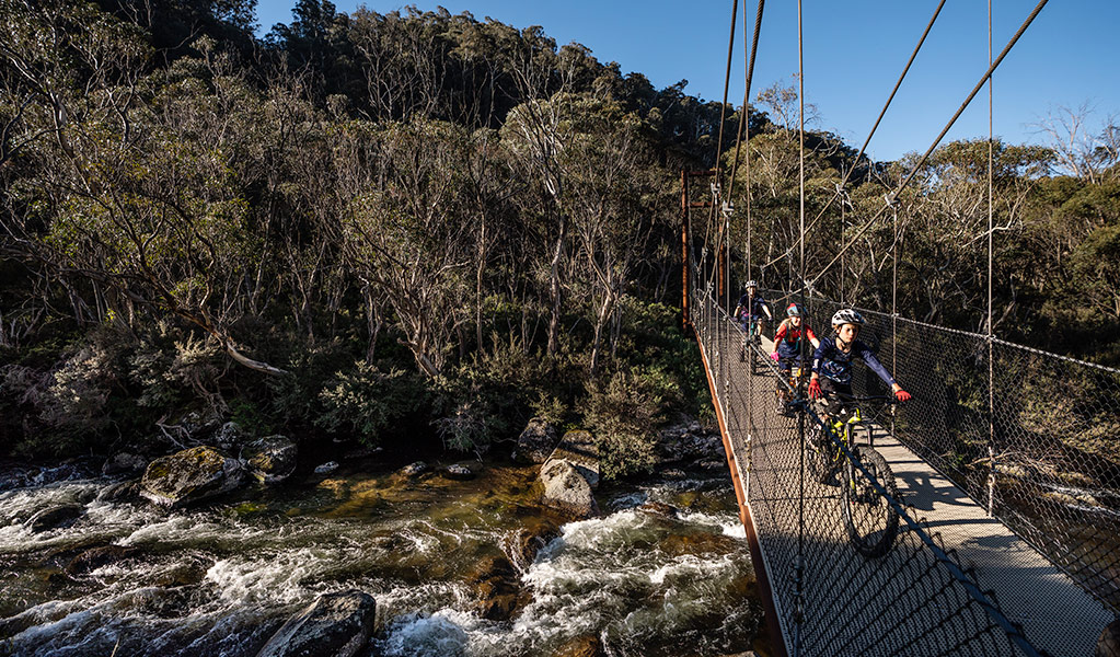 A family cycles across suspension Bridge 2 over Thredbo River, along Thredbo River track, Kosciuszko National Park. Photo: Robert Mulally/DPIE