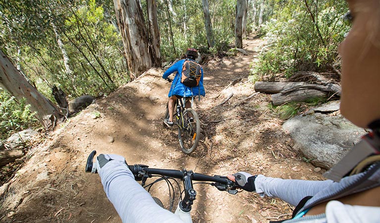 Mountain bike riders tackle a descent through forest on Thredbo Valley track, Kosciuszko National Park. Photo: Boen Ferguson/DPIE