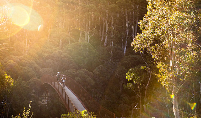 Two mountain bike riders cross a bridge along Thredbo Valley track in Kosciuszko National Park. Photo: Boen Ferguson/DPIE