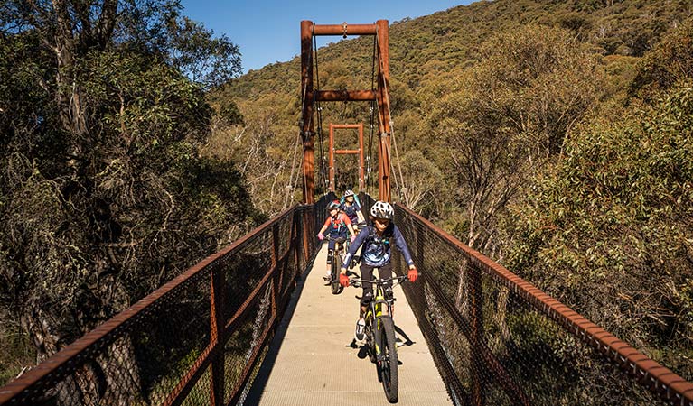 A family rides across suspension Bridge 1 along Thredbo Valley track in Kosciuszko National Park. Photo: Robert Mulally/DPIE