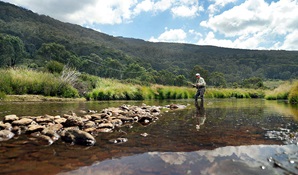 A man casts a fly-fishing line in a river near Thredbo, Kosciuszko National Park. Photo: Thredbo Resort