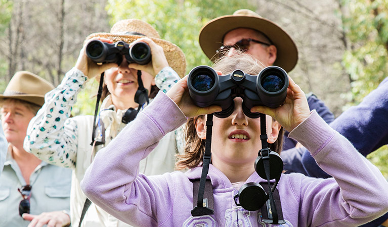Close up of a group of people with binoculars at Warrumbungle National Park. Photo: Simone Cottrell © Simone Cottrell & DPE