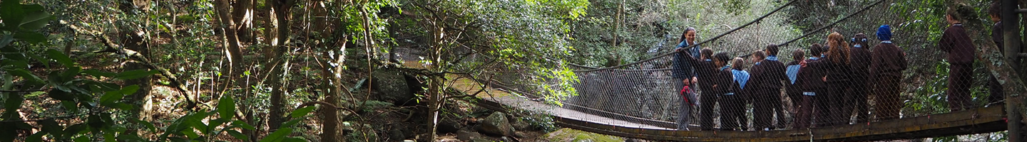 Students cross a suspension bridge in Minnamurra Rainforest, Budderoo National Park. Photo: Meagan Vella &copy;DPIE