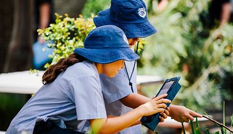 Malabar Public School, Randwick students on a WilderQuest activity, 2017. Photo: Bound Round © WilderQuest