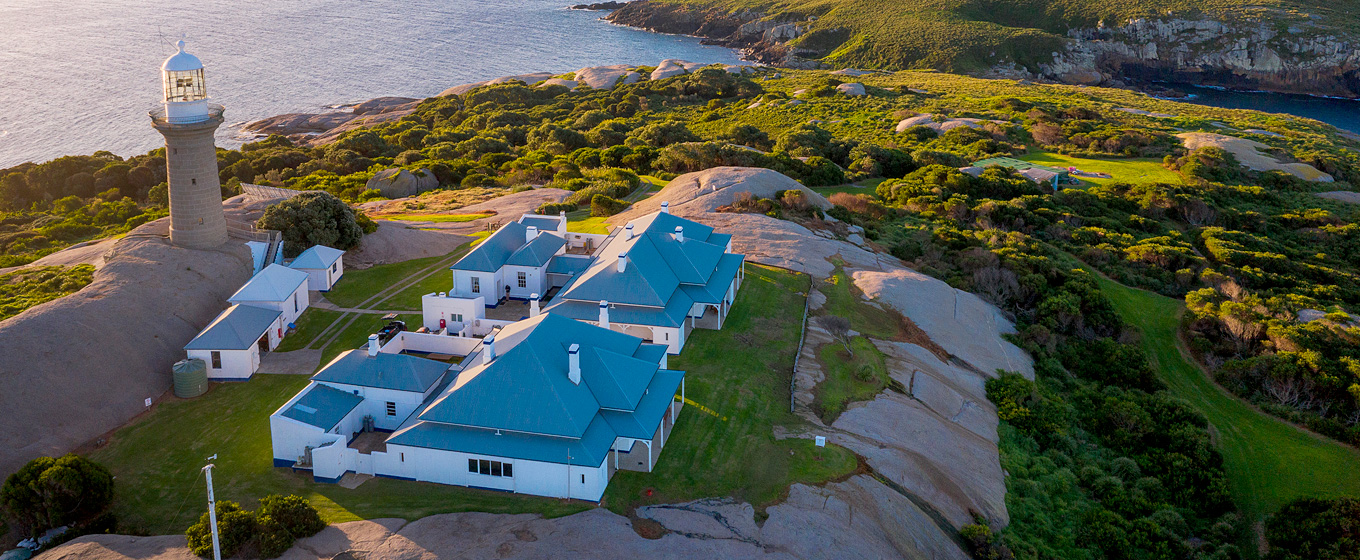 Montague Island Nature Reserve. Photo: Daniel Tran/OEH