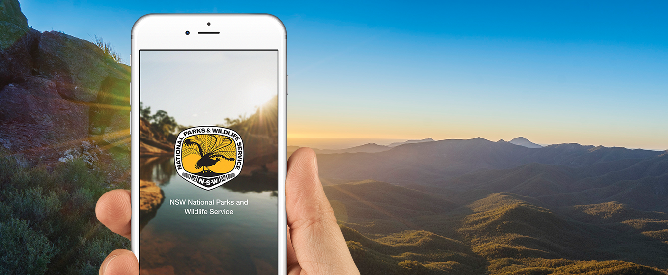 Phone with NSW National Park app on screen and mountains in background. Photo: OEH