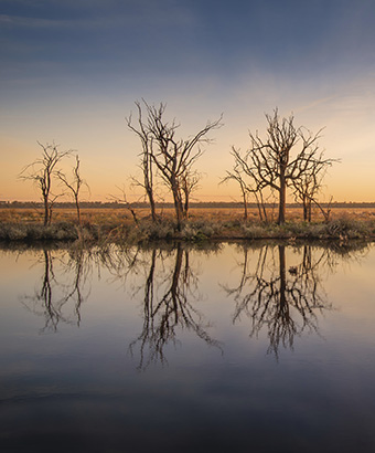Wetlands sunrise, Mid Murray River. Photo credit: John Spencer &copy; DPIE