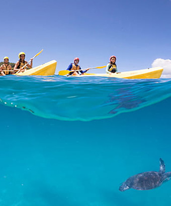 People in yellow double kayaks paddle over waves as a sea turtle swims below.  Photo  &copy; Cape Byron Kayaks